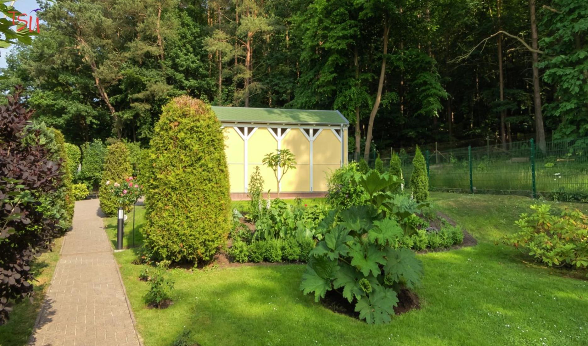 ゼーバート・ヘリングスドルフHaus Am Waldアパートメント エクステリア 写真