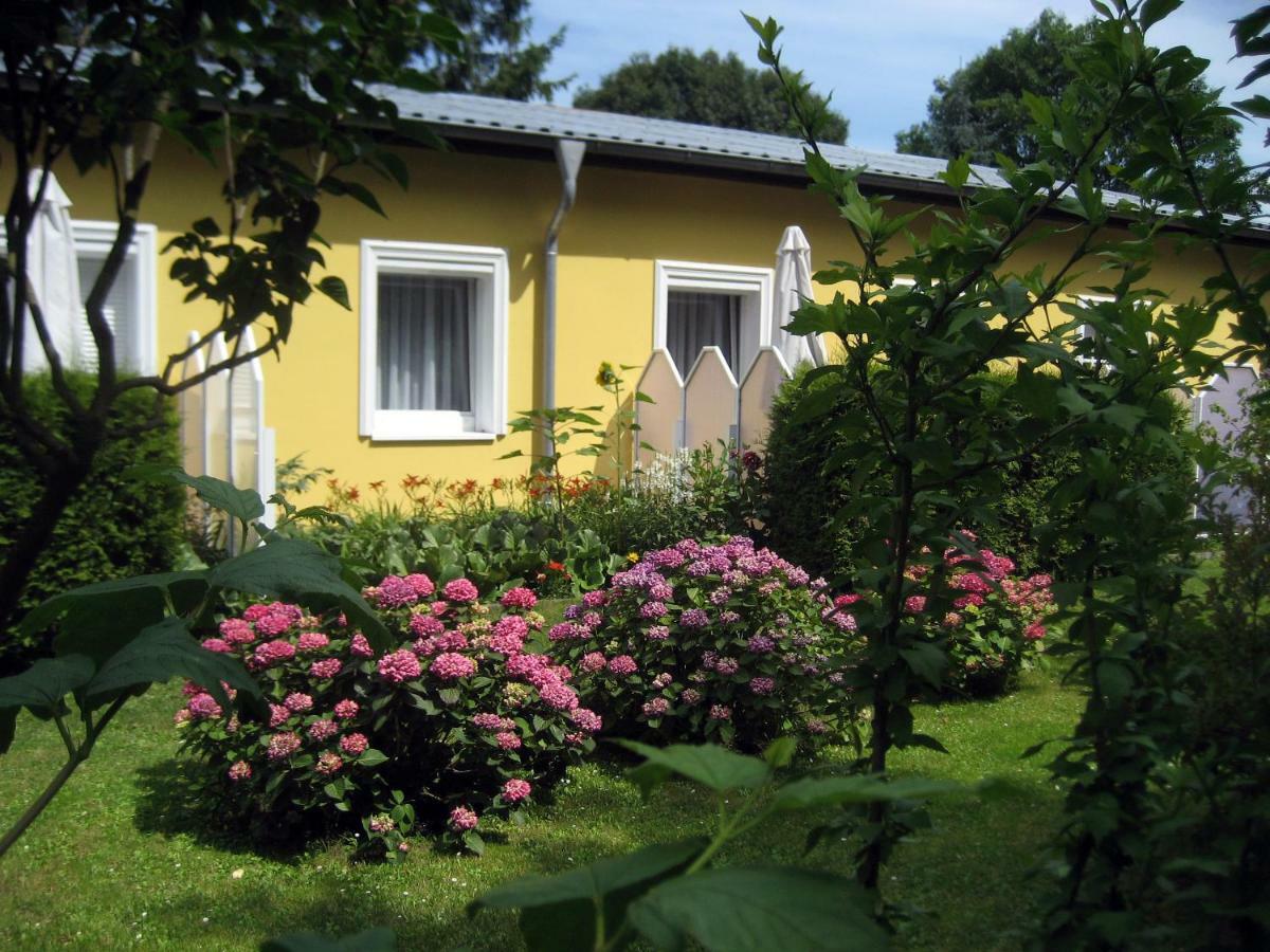 ゼーバート・ヘリングスドルフHaus Am Waldアパートメント エクステリア 写真